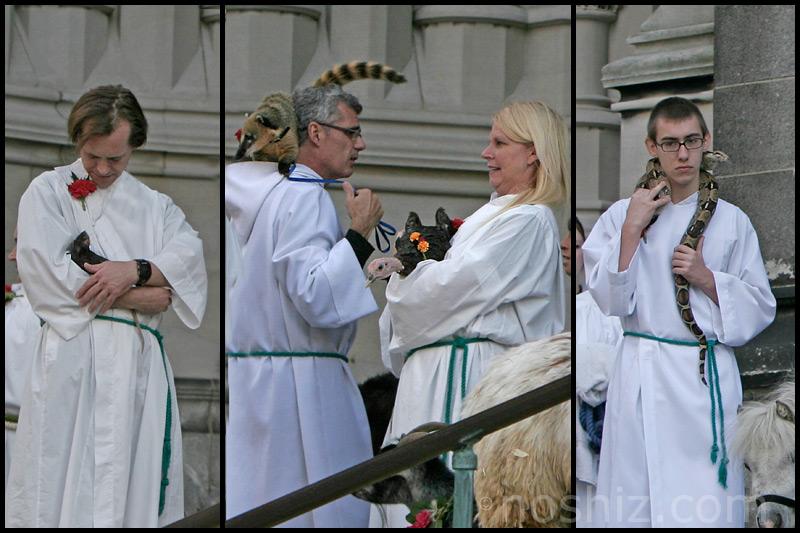 Blessing of the Animals