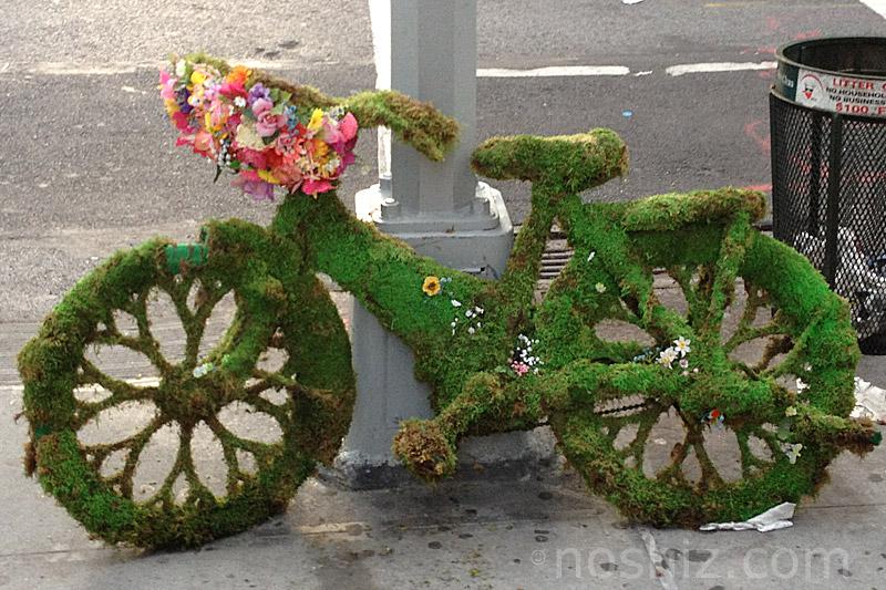 Moss N' Bike